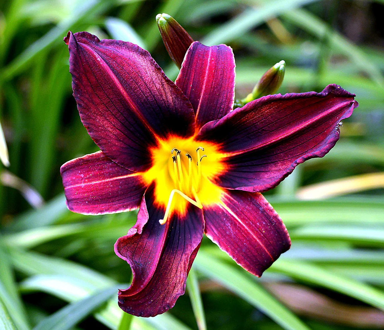 Miniature 2