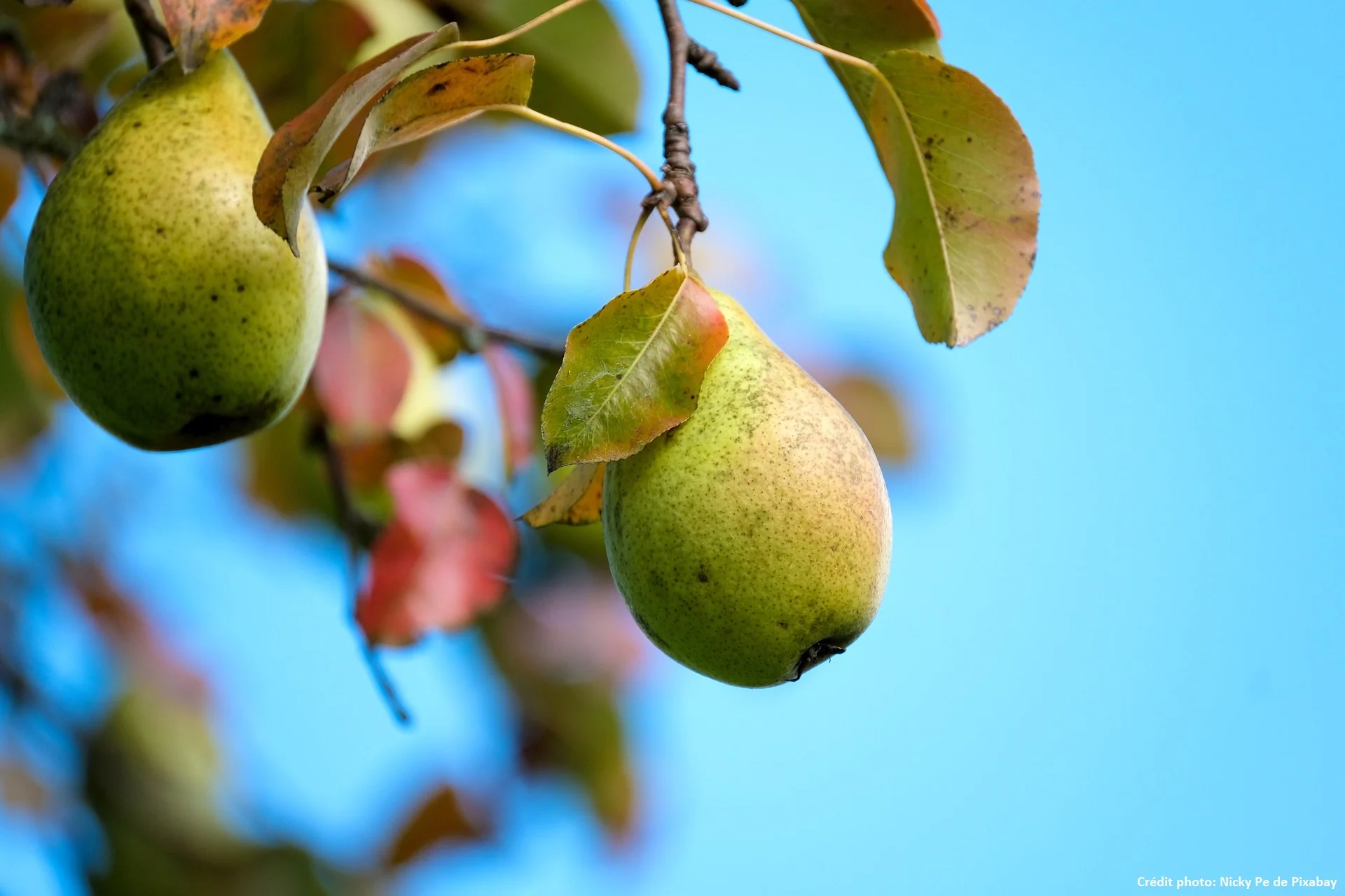 Miniature 2